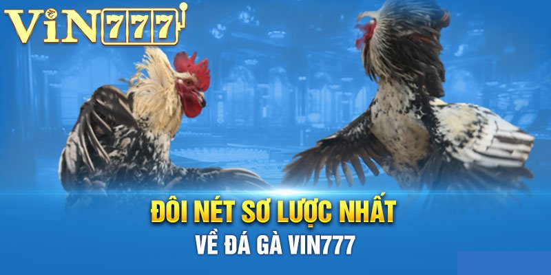 Đá Gà Vin777 Là Gì?